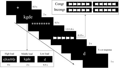 Concurrent working memory task increases or decreases the flanker-related N2 amplitude